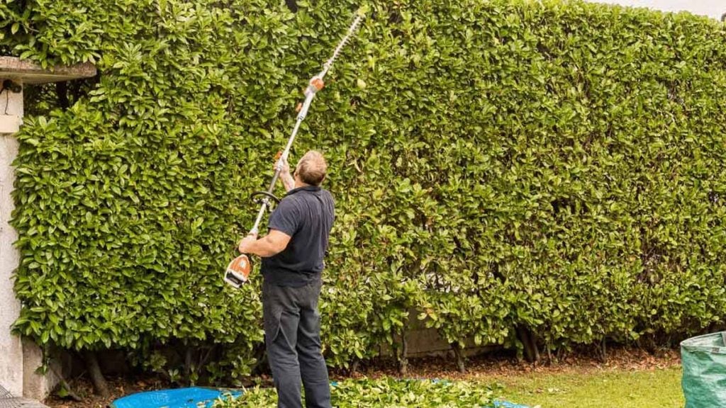 Heckenhöhe BGH Urteil